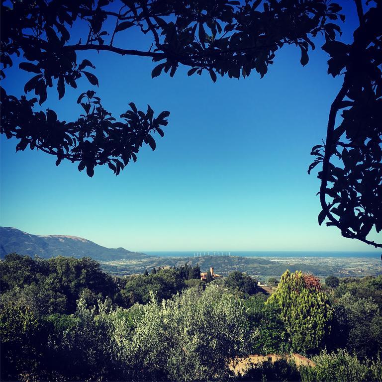 Bed and Breakfast Casale Degli Ulivi Prestige Altavilla Silentina Zewnętrze zdjęcie